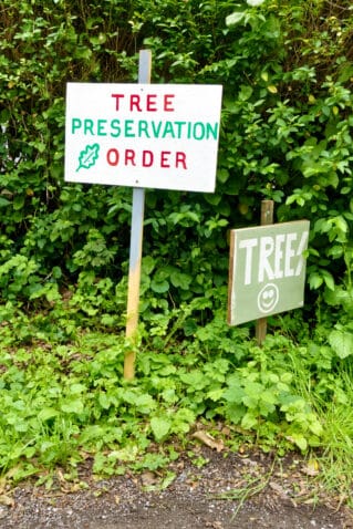 Tree Preservation Order